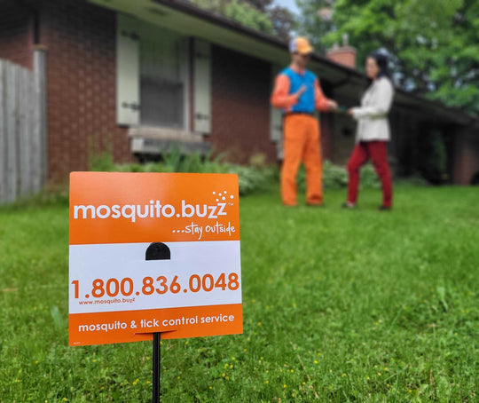 2025 Mosquito.Buzz Services
