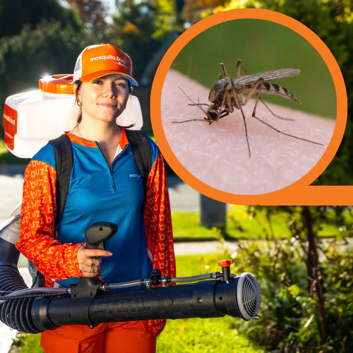 Full-Season Mosquito Control