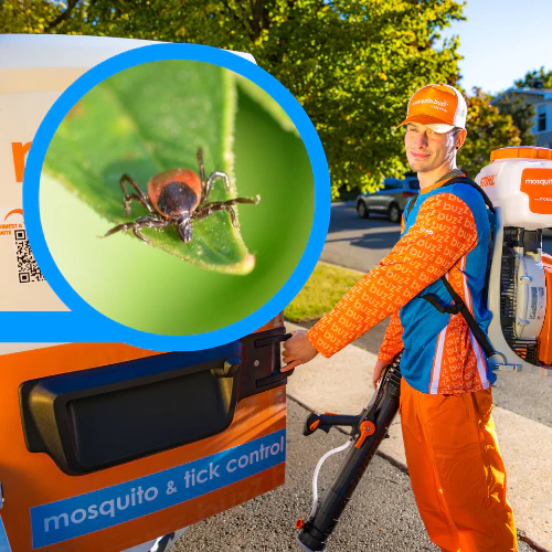 Tick Program 3-Visit